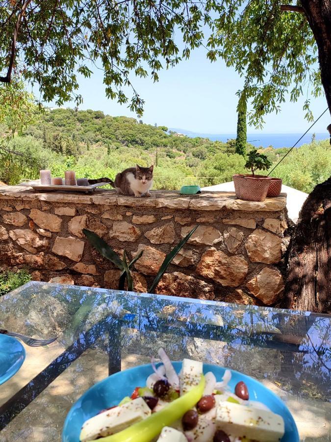 Amygdalo Spiti Villa Agios Nikolaos  Bagian luar foto